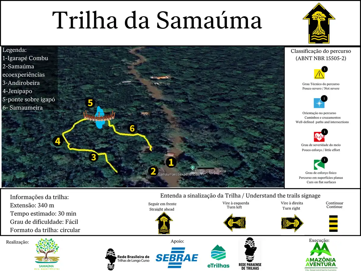 Trilha da Samaúma