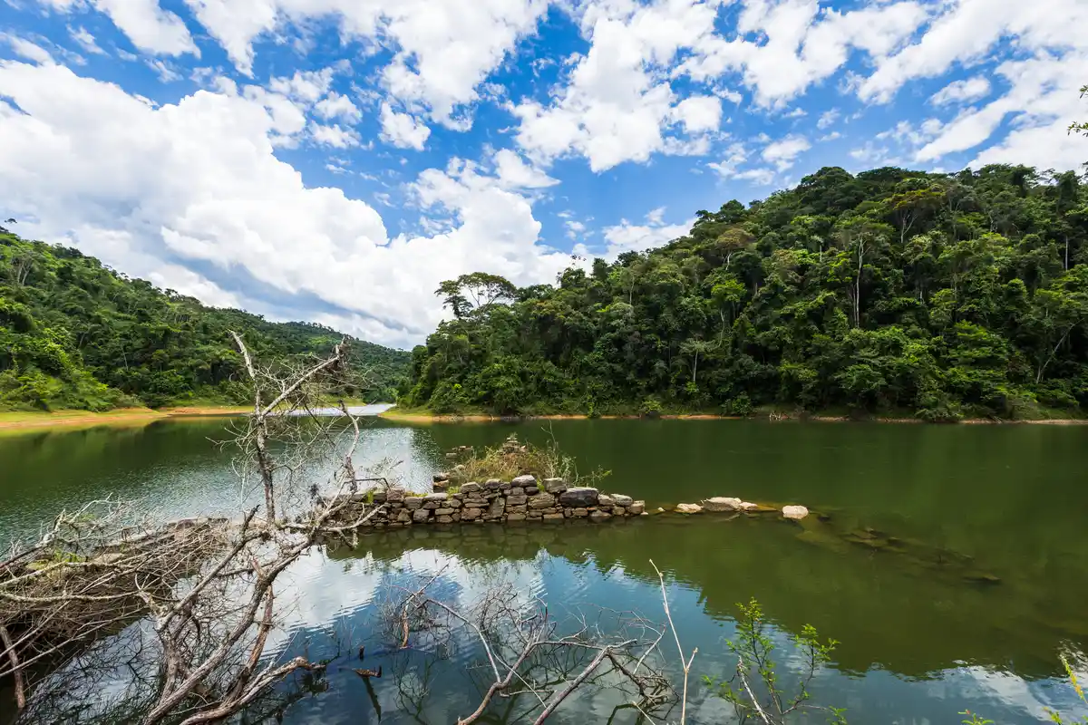 A Refuge of Nature, History, and Well-Being in the Atlantic Forest