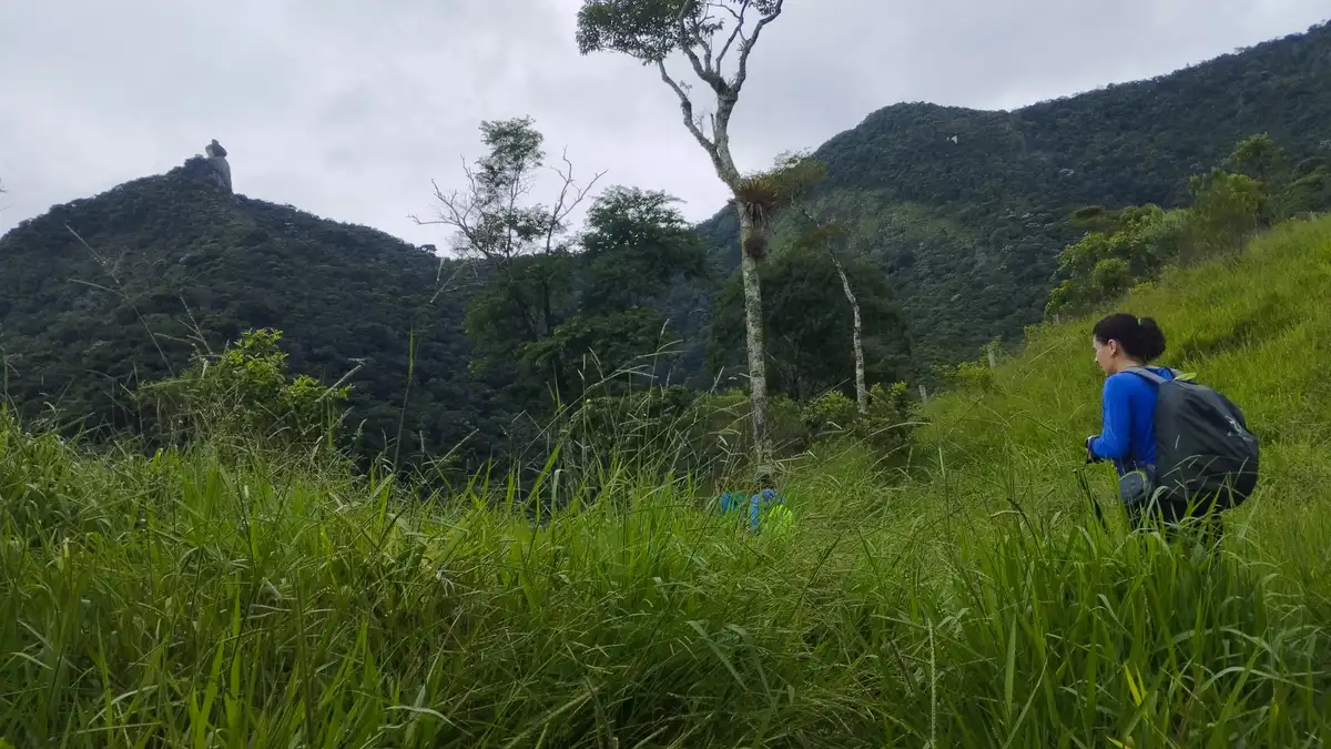 Trilha do Peito do Pombo