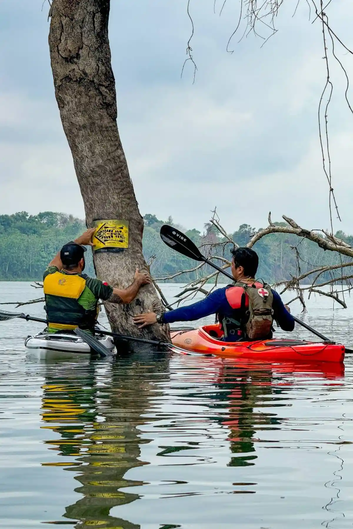 Trilha Aquática do Xingu