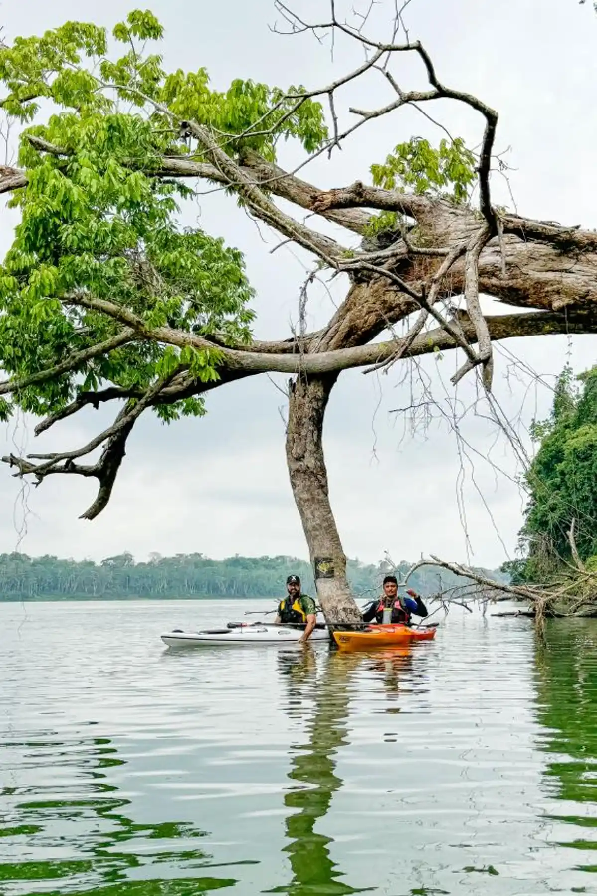Trilha Aquática do Xingu