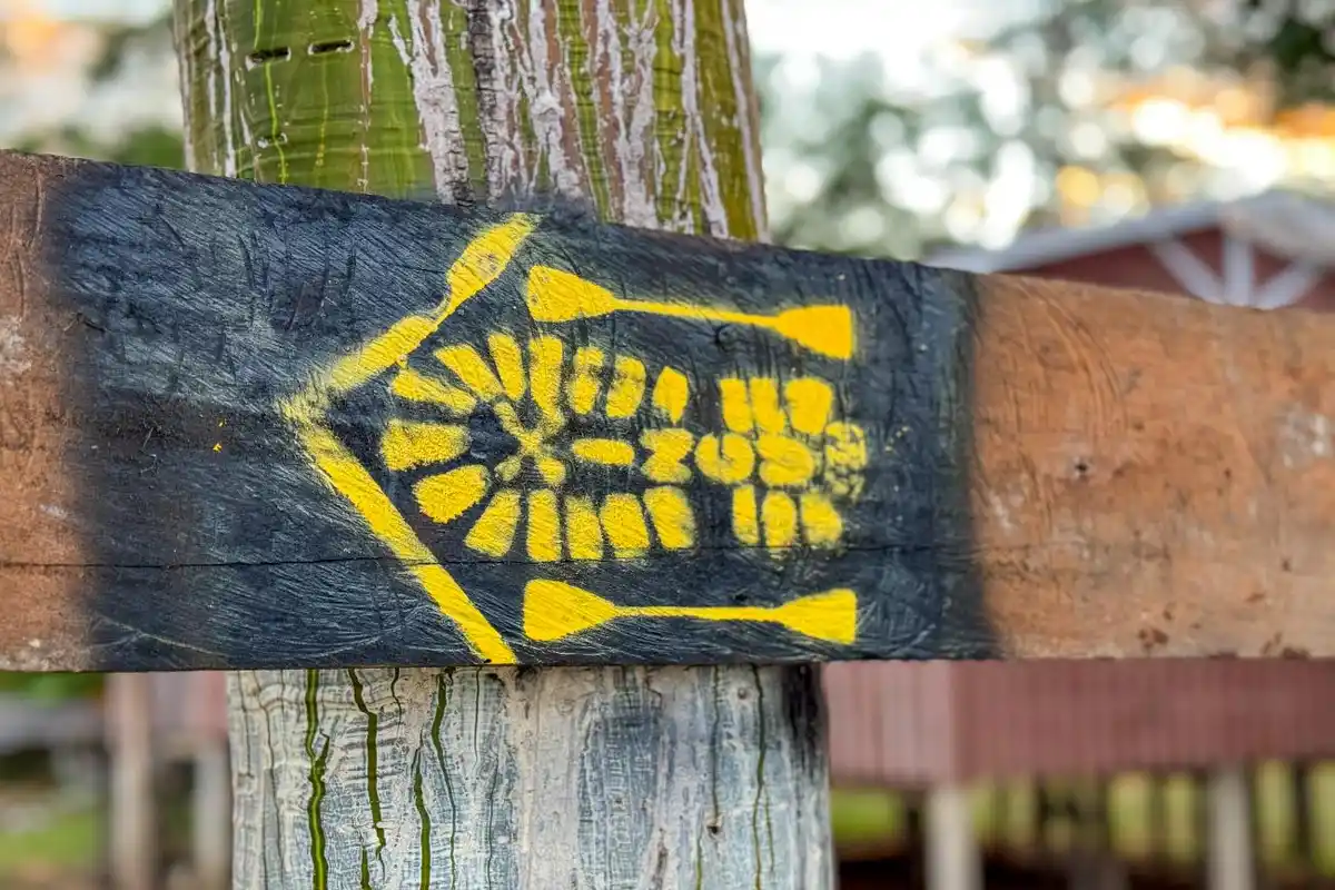 Trilha Aquática do Xingu