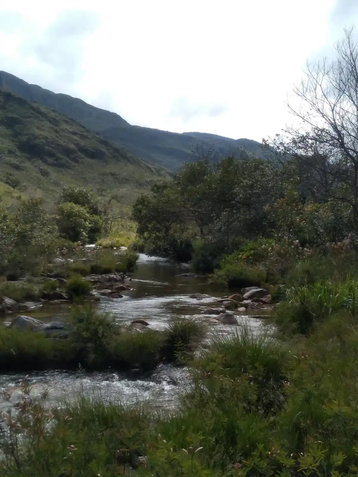 Trilha Cachoeira Retiro Velho